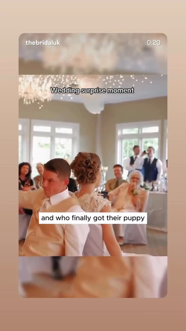 Real wedding — The Week of February 23