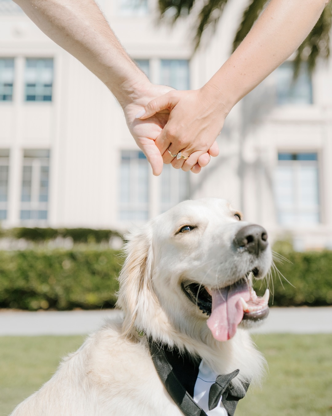 Real wedding — Couple Portraits